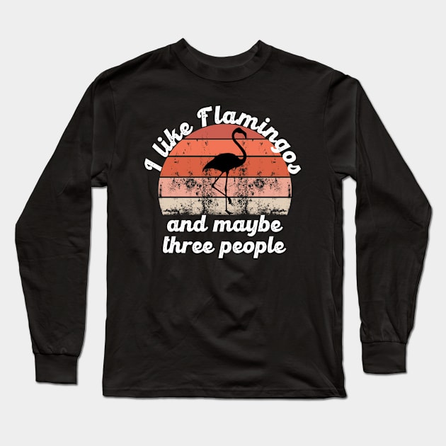 I like flamingos and maybe three people Long Sleeve T-Shirt by hatem